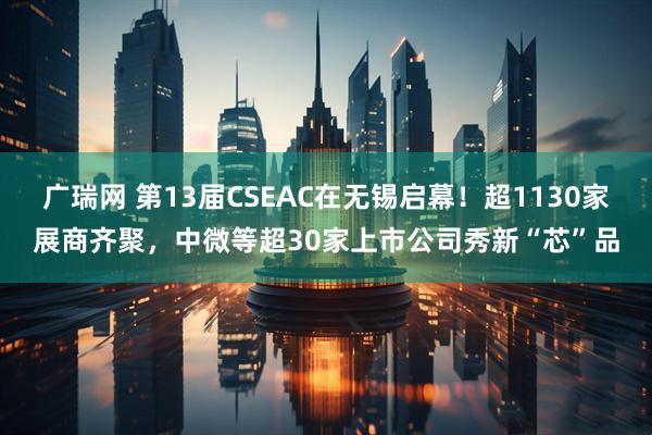 广瑞网 第13届CSEAC在无锡启幕！超1130家展商齐聚，中微等超30家上市公司秀新“芯”品