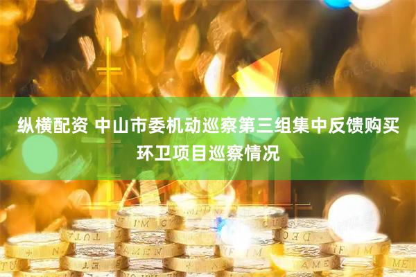 纵横配资 中山市委机动巡察第三组集中反馈购买环卫项目巡察情况