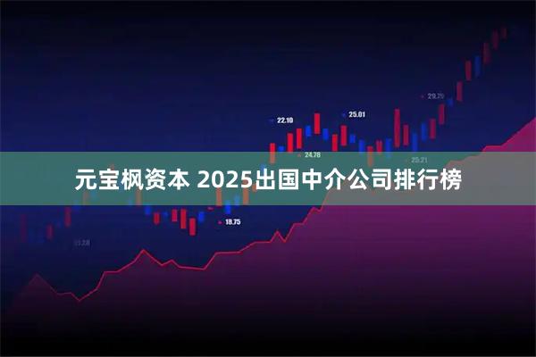 元宝枫资本 2025出国中介公司排行榜