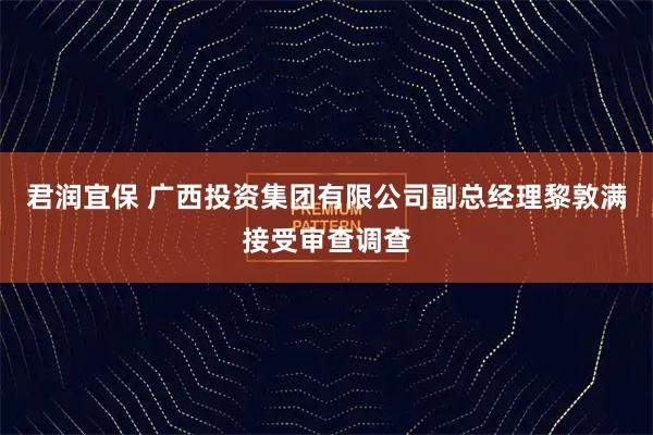 君润宜保 广西投资集团有限公司副总经理黎敦满接受审查调查