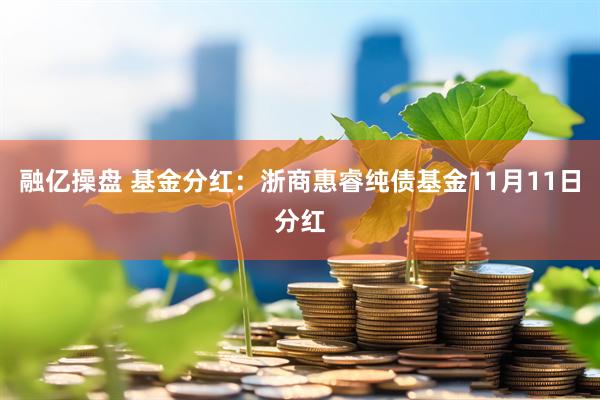 融亿操盘 基金分红:浙商惠睿纯债基金11月11日分红