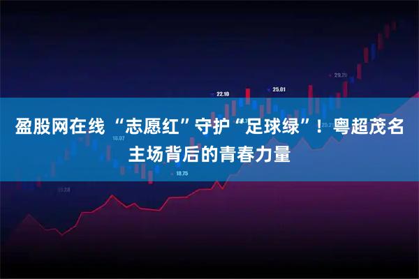 盈股网在线 “志愿红”守护“足球绿”！粤超茂名主场背后的青春力量